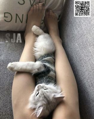 日韩天堂在线专区_国产剧电影在线观看