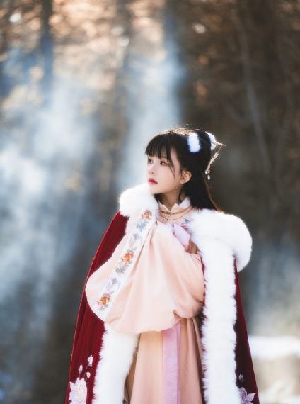 伊人色综合久久久天天蜜桃_4399看片BD国语版完整版