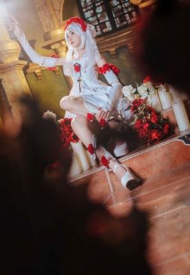 炮灰美人叶怜免费阅读_高清高清视频播放