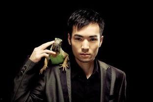 陈飞演员,光影交织的演艺人生