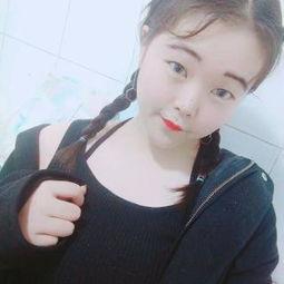 小肉肉资料,探寻萌宠背后的温馨故事